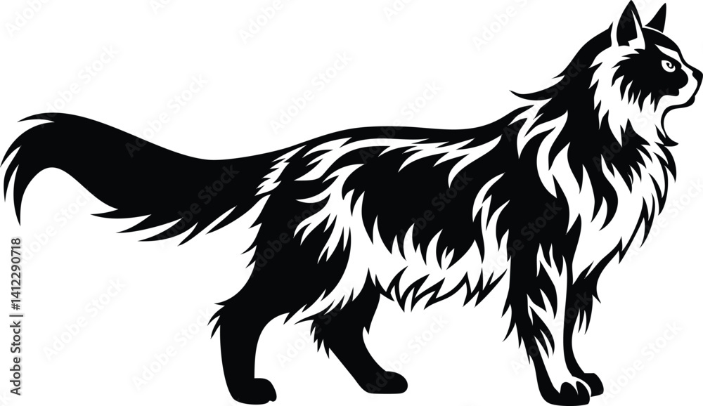 Obraz premium Black Longhair Cat Walking Profile on White Cutout Style Design