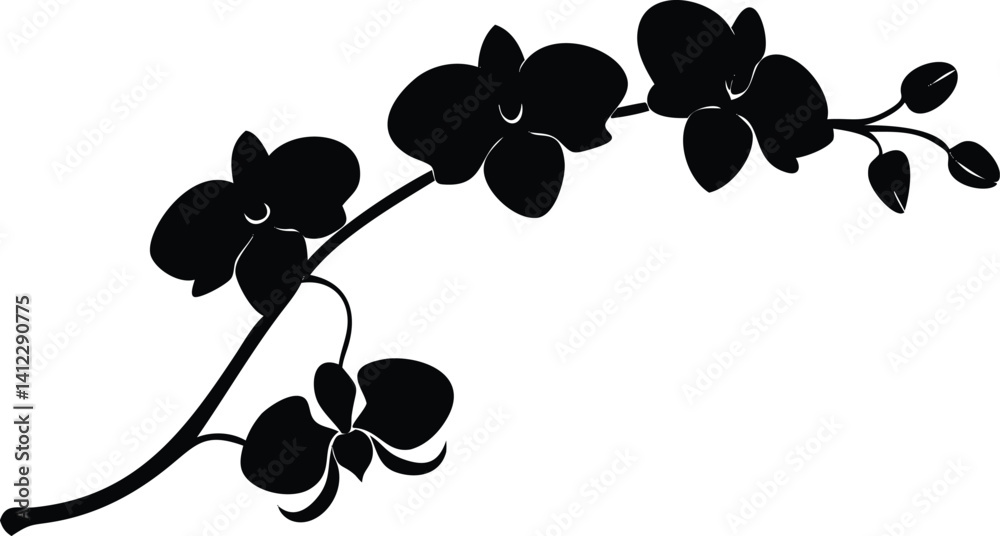 Obraz premium Black Orchid Branch Silhouette on White Backdrop, Elegant Flower