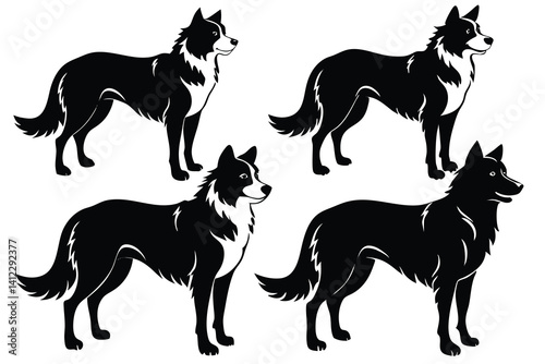 Border Collie Silhouette Set Standing in Different Poses on Transparent Background