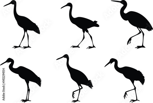Crane Silhouettes on White Background, Elegant Walking Birds, Wildlife