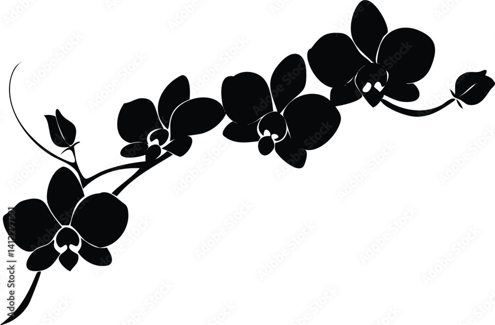 Obraz premium Elegant Orchid Flower Branch Silhouette on White, Floral Design Element