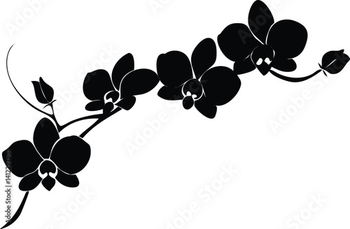 Elegant Orchid Flower Branch Silhouette on White, Floral Design Element