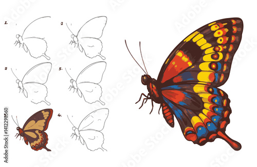 Illustrative butterfly journey from sketch to vivid masterpiece