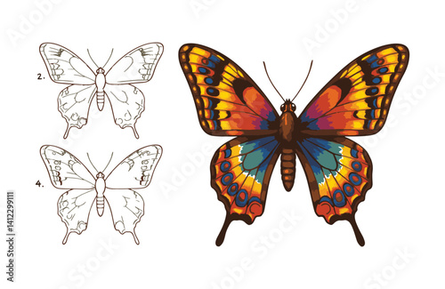 Transformative butterfly illustrations evolving into radiant art