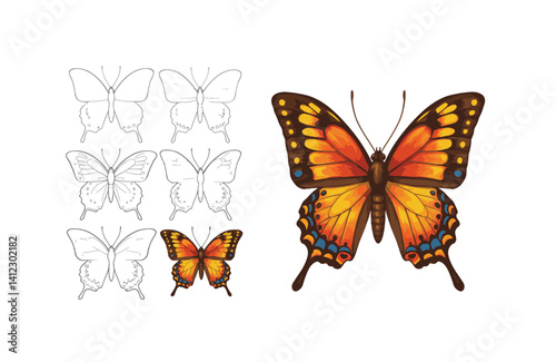 Hand-drawn butterflies evolving into nature’s vivid artistry