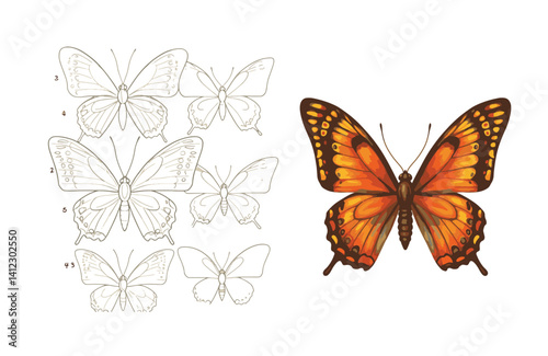 Radiant butterfly designs capturing nature’s vibrant colors