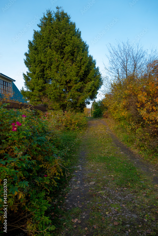 an overgrown road in a country holiday village in autumn