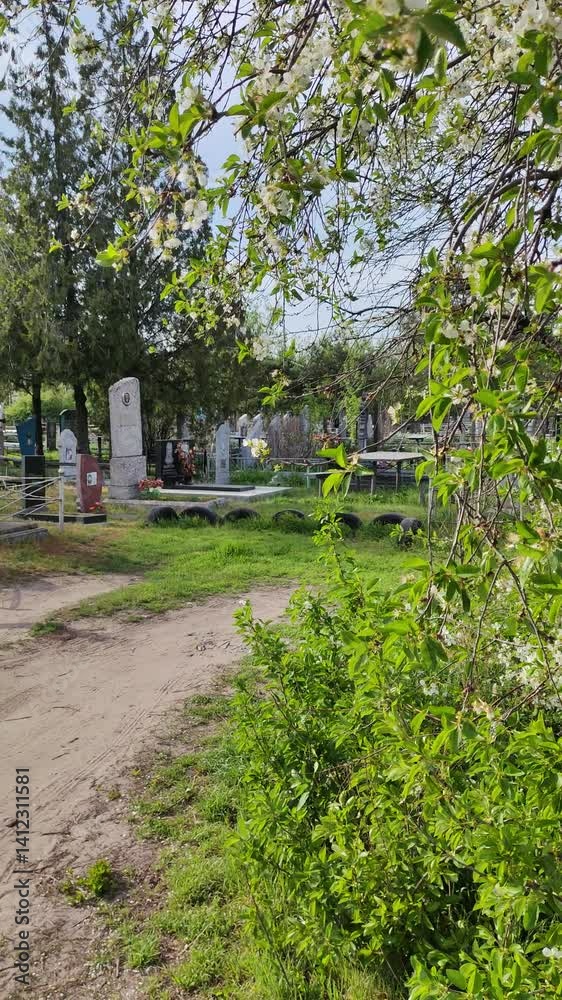cemetery. old graves. monuments in the cemetery. Ukrainian cemetery. grave monuments and tombstone crosses. cemetery. old graves. monuments in the cemetery. Ukrainian cemetery. grave monuments and tombstone crosses.