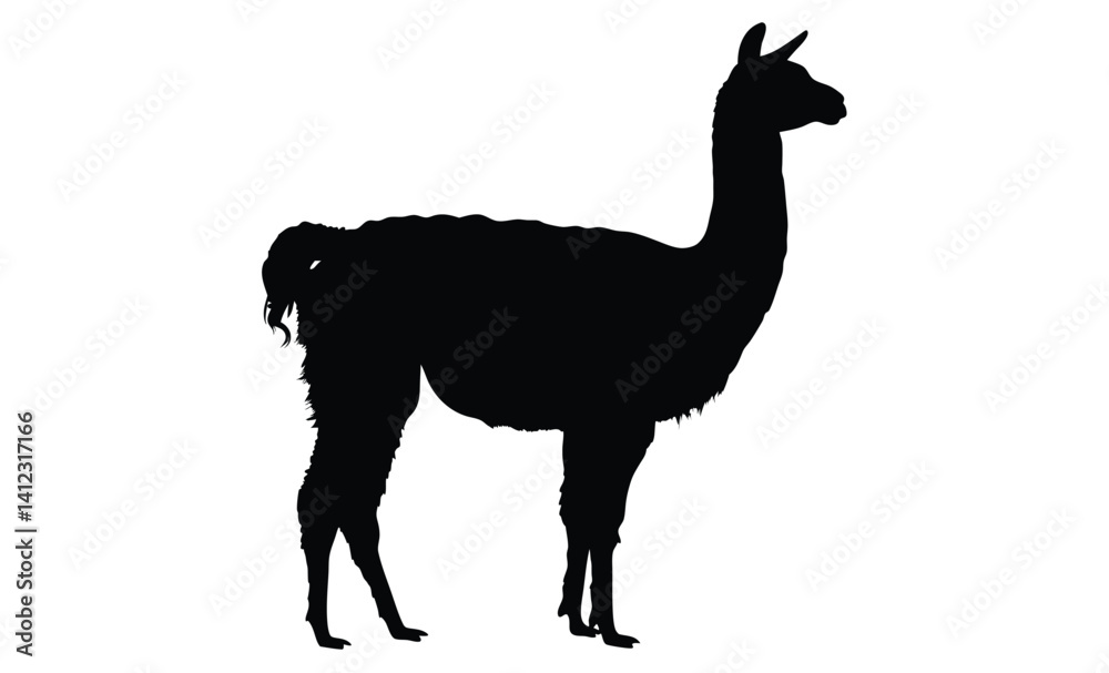 Fototapeta premium Alpaca silhouette, Farm animal vector, Wooly animal icon, Alpaca illustration