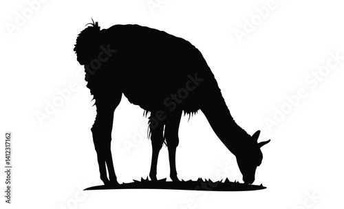 Alpaca silhouette, Farm animal vector, Wooly animal icon, Alpaca illustration