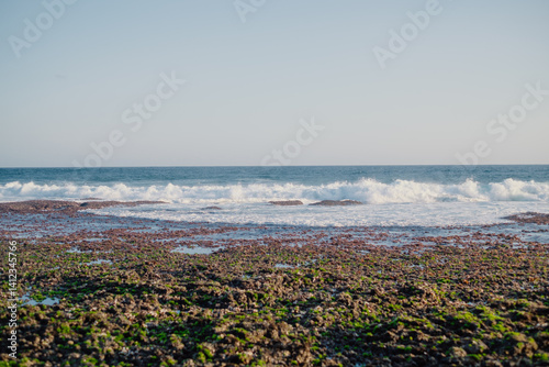 Rocky shoreline during low tide, facing the vast blue ocean under a clear sky. The foreground features wet rocks and patches of algae, with waves gently rolling in the distance.