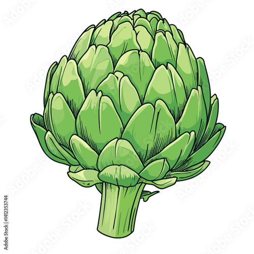 vector illustration of artichoke