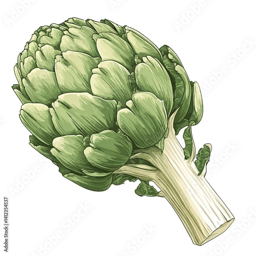 Artichoke on white 