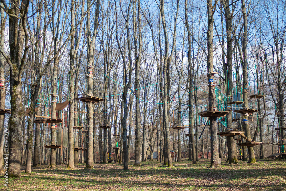 Various birdhouses hanging in trees for avian visitors, part of an environmental and artistic initiative.