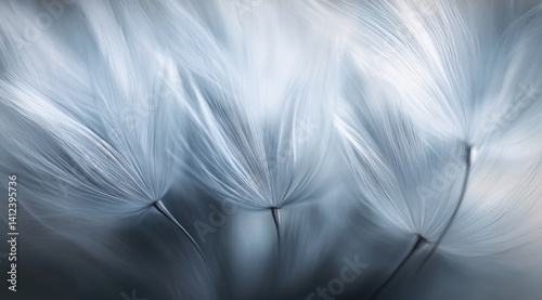 Dandelion with water drops, macro photography, light gray and dark blue style, soft edges