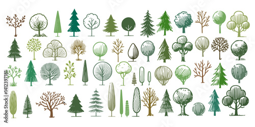 Hand-drawn tree illustrations isolated