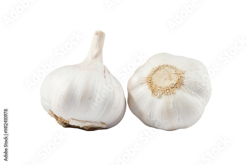 Fototapeta Naklejka Na Ścianę i Meble -  The garlic isolate on white background.
