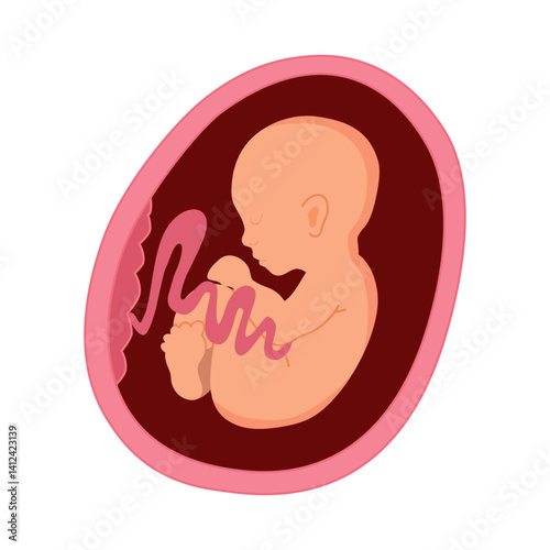 Development of fetus in uterine. Gynecology, reproductive. Flat gradient icon. Vector illustration.