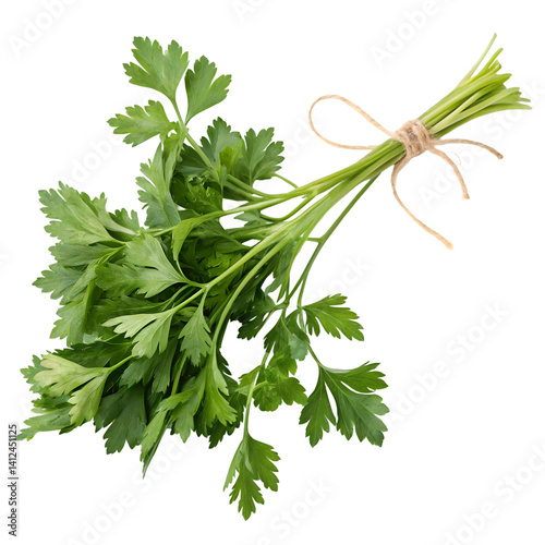 Mediterranean herbs and spices set including parsley, basil, and more isolated on transparent background photo