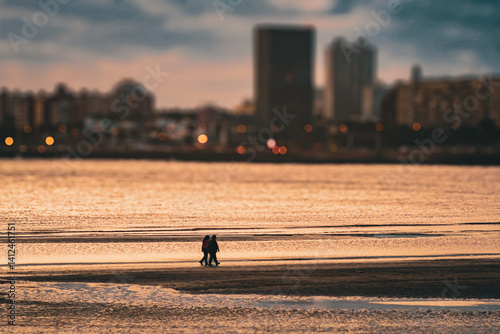 Run of the Beach