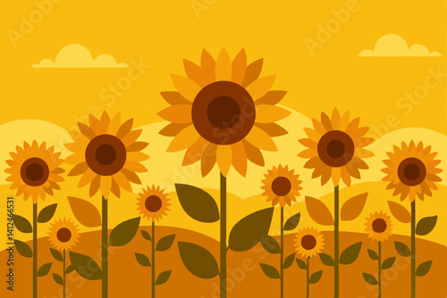 sunflower field vector illustration