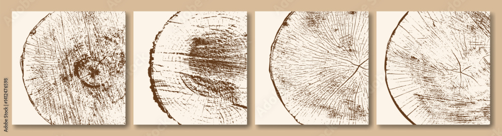 Set of tree cross sections. Ring pattern, growth layers of a tree trunk in section. Vector illustrations. Set of tree cross sections. Ring pattern, growth layers of a tree trunk in section. Vector illustrations.