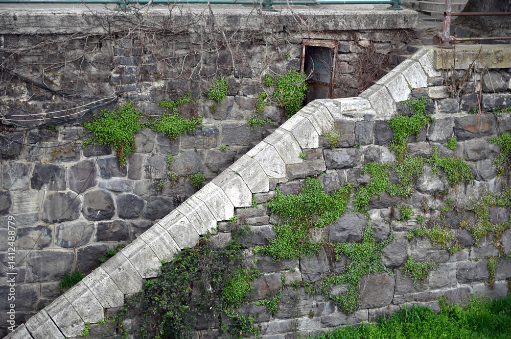 Stone staircase leading to a hidden doorway surrounded by lush green growth