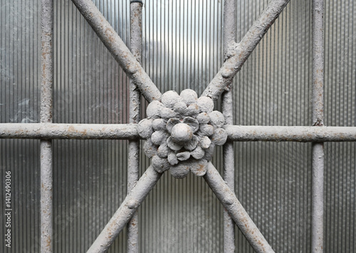 Decorative metalwork on a vintage glass-paneled door in an urban setting captured during daylight