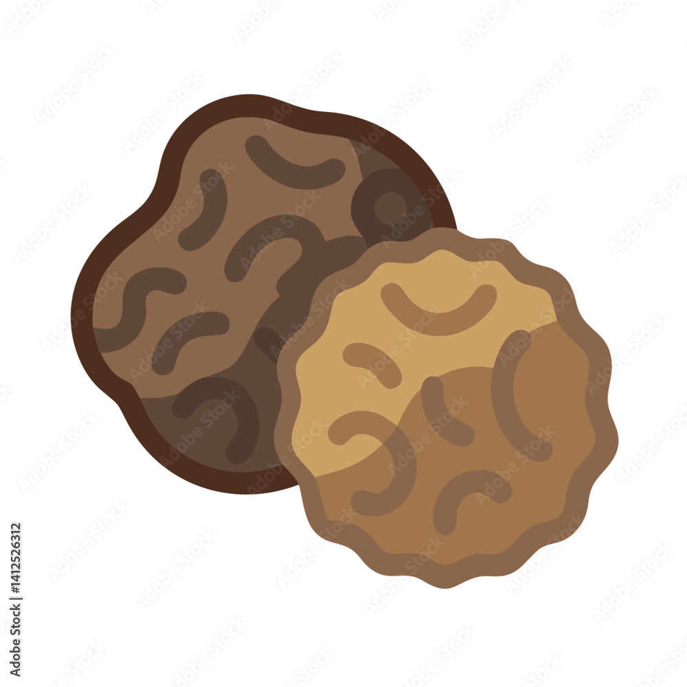 Two brown truffles on a black background image Two brown truffles on a black background image