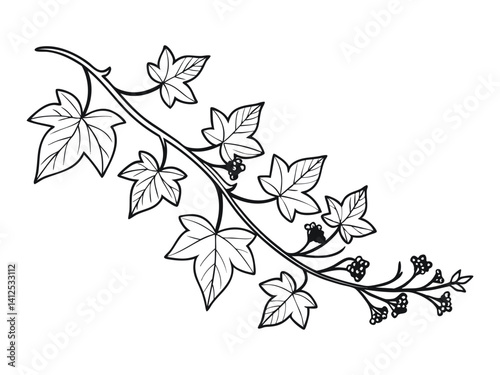 ivy vine design element, minimalistic vector of leaves in outline, plant stem or tree branch clip-art, pretty curving floral design isolated on white background, decorative wedding invitation art