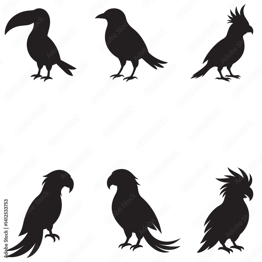 Fototapeta premium set of bird silhouette
