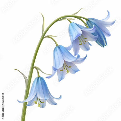 Cosmos 3D rendered flower delicately isolated on a white background with soft pastel tones and intricate details
