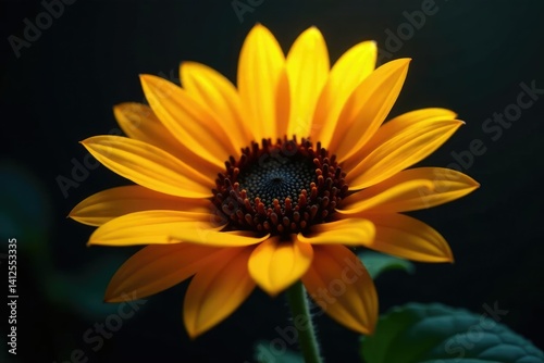 Sunflower petals softly glowing in dark space, flower, delicate, glow