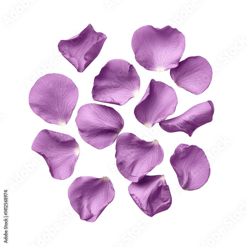 Delicate purple rose petals scattered artistically, showcasing the soft texture and vibrant color against a white background.