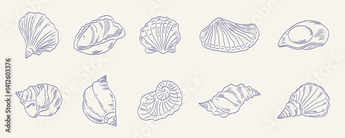 Hand drawn isolated vector set of seashells. Minimalist seafood sketch. Vintage summer illustrations for cafe, restaurant, menu, poster, prints, label, placard. Vector flat illustration.
