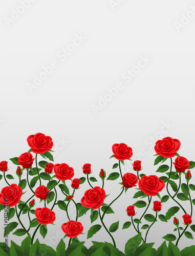 Illustration of red roses on a white background with space for text