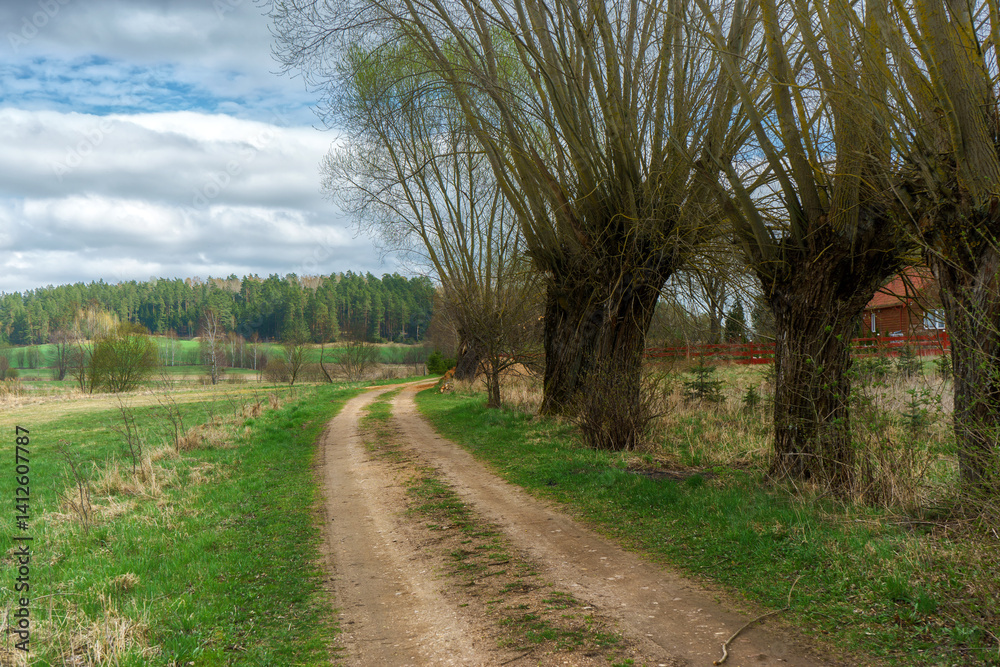 Wzgórza Sokólskie wiosną ,Podlasie, Polska