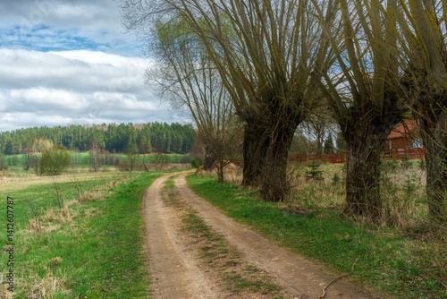 Obraz na płótnie Wzgórza Sokólskie wiosną ,Podlasie, Polska w salonie
