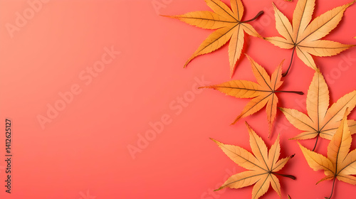 Autumn Maple Leaves On Red Background