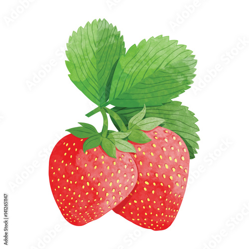 Strawberry Design elements. watercolour style vector illustration.