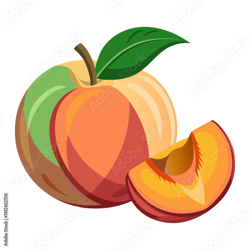 vector illustration of ripe apricots