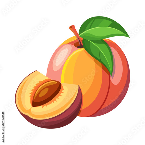vector illustration of ripe apricots