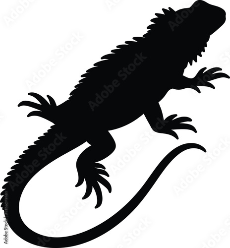 Iguana silhouette vector design black
