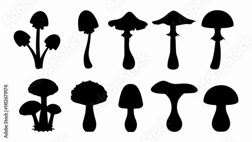 set of forest mushrooms silhouette vector on white background