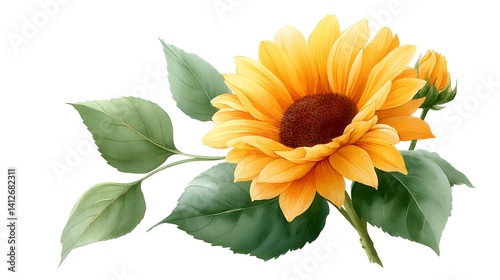 Bright sunflower illustration with green leaves and a budding flower.