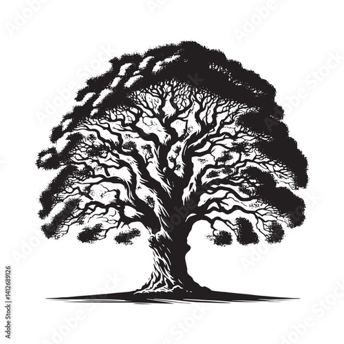 Lombardy poplar tree - Black and White tree Design - Lombardy poplar tree Silhouette - Vector of tree.