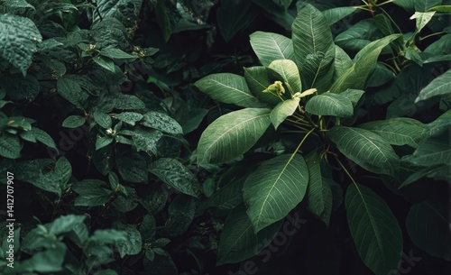 Lush green foliage close-up (2) photo