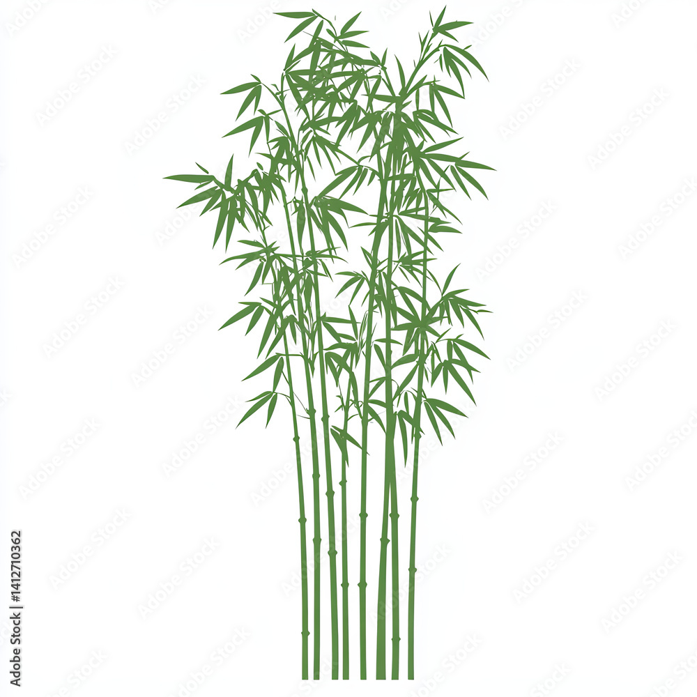 Fototapeta premium bamboo