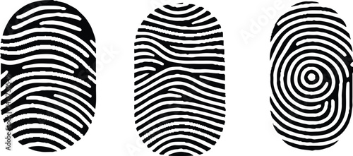 Abstract Types of Fingerprint Patterns for Identity Person Security ID on white Background for Design