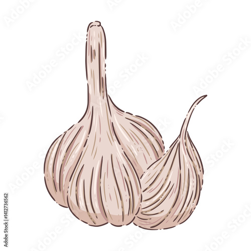 garlic isolated on white background